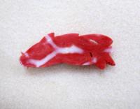 Red・コーラル(赤珊瑚)彫刻/帯留め仕様　T-160
