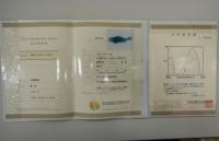 ヒスイ(彫刻/鯉)