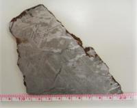 メテオライト(ムオニオナルスタ)