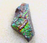 アンモライト　№2