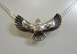 SVトップ・イーグル