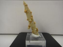 レーザークォーツ　№1