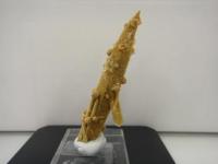 レーザークォーツ　№1