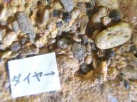 ゴールド&ダイヤモンド