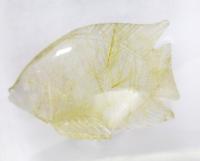 ルチルクォーツ(熱帯魚) T257