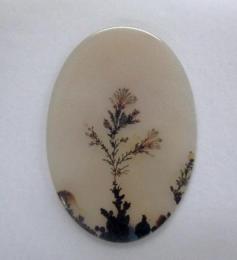 デンドリチックアゲート　T254